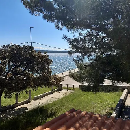 House Vien 네레자인