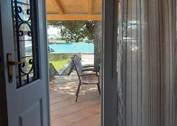 House Vien 네레자인