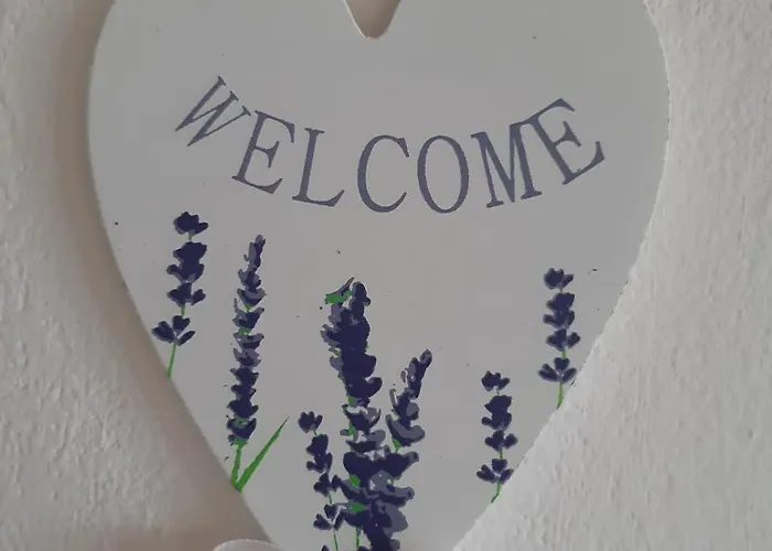 House Vien 펜션 네레자인